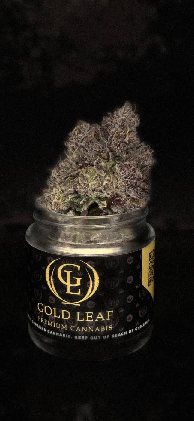 Velvet Crown flower