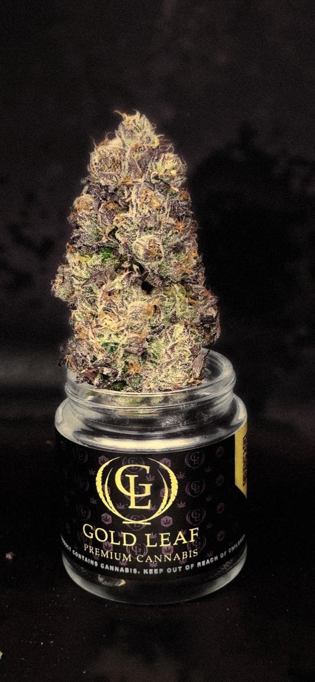 Strain spotlight: Westerly